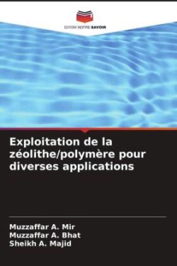 Exploitation de la zéolithe/polymère pour diverses applications