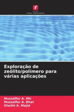 Exploração de zeólito/polímero para várias aplicações