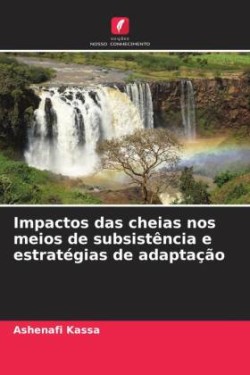 Impactos das cheias nos meios de subsistência e estratégias de adaptação