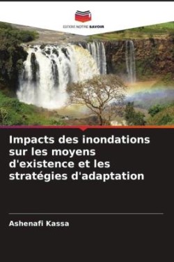 Impacts des inondations sur les moyens d'existence et les stratégies d'adaptation