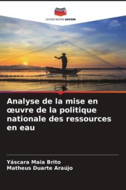 Analyse de la mise en oeuvre de la politique nationale des ressources en eau