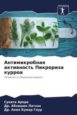 Антимикробная активность Пикрориза курр&