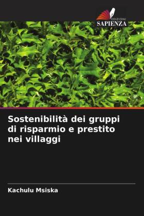 Sostenibilità dei gruppi di risparmio e prestito nei villaggi