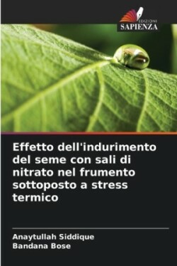 Effetto dell'indurimento del seme con sali di nitrato nel frumento sottoposto a stress termico