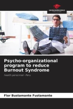 Psycho-organizational program to reduce Burnout Syndrome