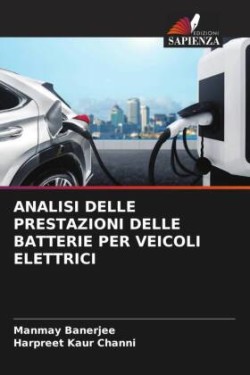 Analisi Delle Prestazioni Delle Batterie Per Veicoli Elettrici