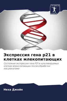 Экспрессия гена p21 в клетках млекопитающих