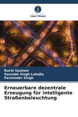 Erneuerbare dezentrale Erzeugung für intelligente Straßenbeleuchtung