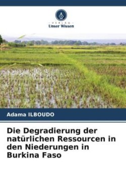 Degradierung der natürlichen Ressourcen in den Niederungen in Burkina Faso