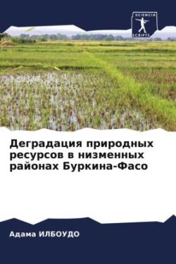 Деградация природных ресурсов в низменны