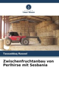 Zwischenfruchtanbau von Perlhirse mit Sesbania