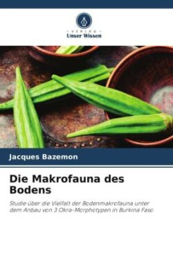 Makrofauna des Bodens