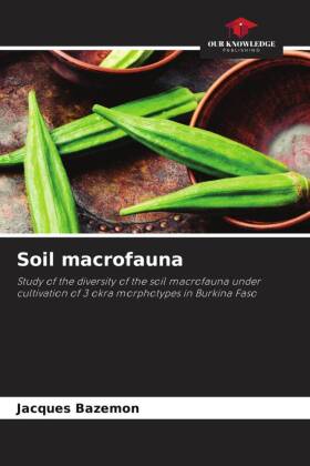 Soil macrofauna
