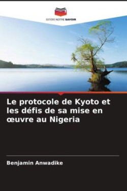 protocole de Kyoto et les défis de sa mise en oeuvre au Nigeria