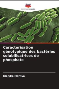 Caractérisation génotypique des bactéries solubilisatrices de phosphate