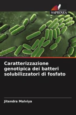 Caratterizzazione genotipica dei batteri solubilizzatori di fosfato