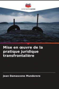 Mise en oeuvre de la pratique juridique transfrontalière