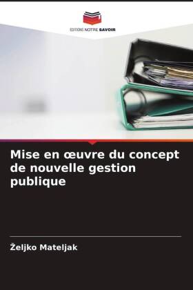 Mise en oeuvre du concept de nouvelle gestion publique