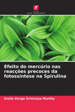 Efeito do mercúrio nas reacções precoces da fotossíntese na Spirulina