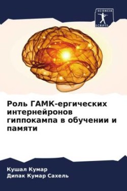 Роль ГАМК-ергических интернейронов гиппо