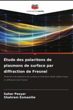 Étude des polaritons de plasmons de surface par diffraction de Fresnel