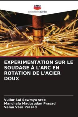 Expérimentation Sur Le Soudage À l'Arc En Rotation de l'Acier Doux