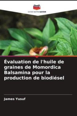 Évaluation de l'huile de graines de Momordica Balsamina pour la production de biodiésel