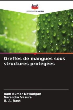 Greffes de mangues sous structures protégées