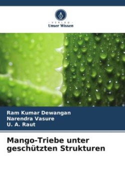 Mango-Triebe unter geschützten Strukturen