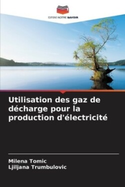 Utilisation des gaz de décharge pour la production d'électricité