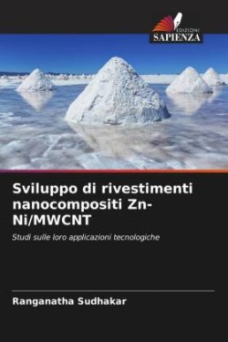 Sviluppo di rivestimenti nanocompositi Zn-Ni/MWCNT