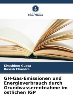 GH-Gas-Emissionen und Energieverbrauch durch Grundwasserentnahme im östlichen IGP