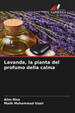 Lavanda, la pianta del profumo della calma