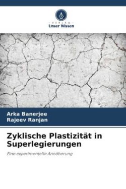 Zyklische Plastizität in Superlegierungen