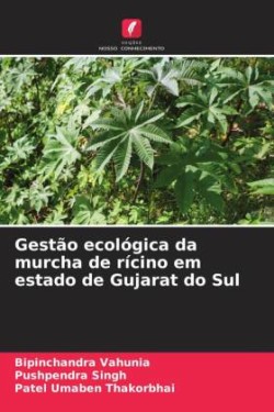 Gestão ecológica da murcha de rícino em estado de Gujarat do Sul