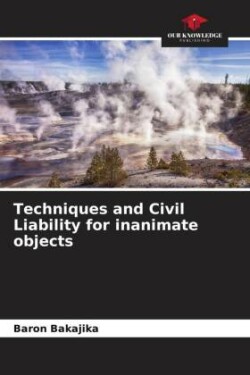 Techniques and Civil Liability for inanimate objects