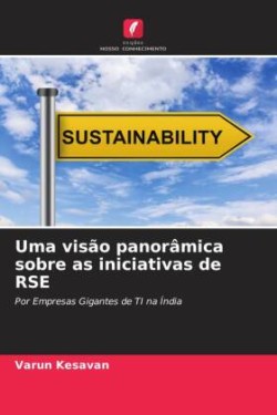 Uma visão panorâmica sobre as iniciativas de RSE