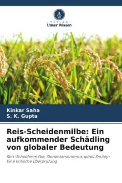 Reis-Scheidenmilbe: Ein aufkommender Schädling von globaler Bedeutung