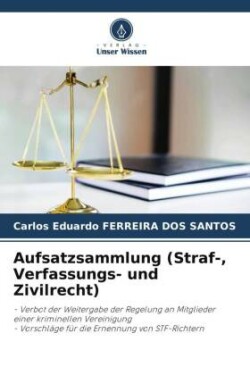 Aufsatzsammlung (Straf-, Verfassungs- und Zivilrecht)