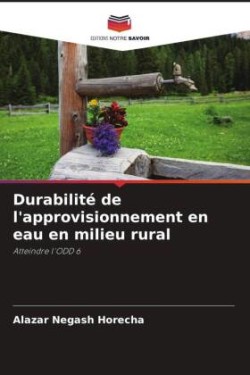 Durabilité de l'approvisionnement en eau en milieu rural