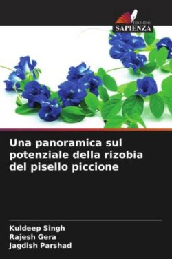 Una panoramica sul potenziale della rizobia del pisello piccione