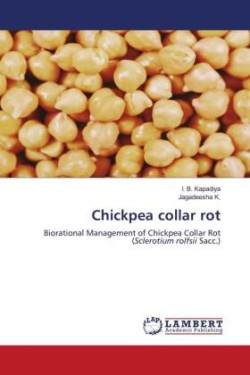 Chickpea collar rot