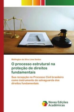 O processo estrutural na proteção de direitos fundamentais