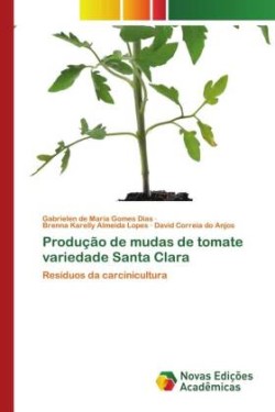 Produção de mudas de tomate variedade Santa Clara