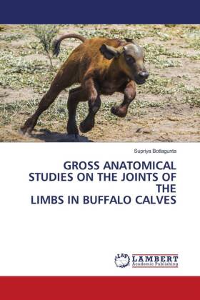 Gross Anatomical Studies on the Joints of the Limbs in Buffalo Calves