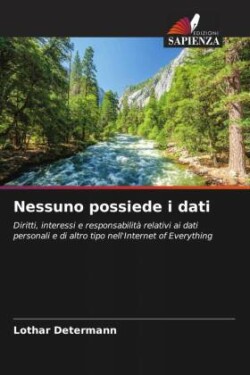 Nessuno possiede i dati