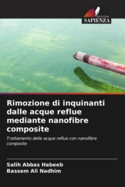 Rimozione di inquinanti dalle acque reflue mediante nanofibre composite