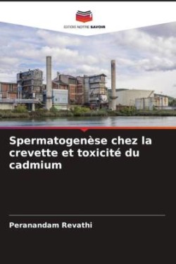 Spermatogenèse chez la crevette et toxicité du cadmium