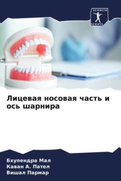 Лицевая носовая часть и ось шарнира