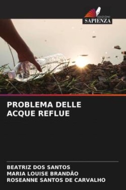 Problema Delle Acque Reflue